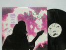 J Mascis + The Fog - More Light LP 2000 GERMANY ORIG NIRVANA Dinosaur Jr. BECK
