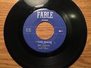 LOUISIANA GARAGE ROCK 45 THE FABLES PLEASE REALIZE FABLE 102