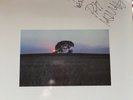 Pat Metheny Bright Size Life Autograph ECM First pressing top