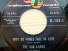 GALLAHADS white doowop orig.RENDEZVOUS 45 WHY DO FOOLS FALL IN LOVE   GONE pc40