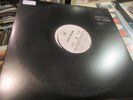 lara fabian double lp remixes promo us i will love again