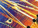 ONLY LIVING WITNESS - PRONE MORTAL FORM (PURPLE-ORANGE VINYL) LP New Preorder