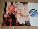 ALEXANDER VON SCHIPPENBACH - GLOBE UNITY - LP - GERMANY 1979 - Reissue (DI2184)