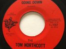 FOLKY GARAGE Tom Northcott Trio GOING DOWN New Syndrome 45 rare Canadian