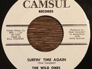 The Wild Ones - Number One Girl / Surfin' Time Again 45 RARE Surf Teener CAMSUL