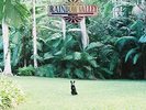 Matt Corby-Rainbow Valley VINYL NEW