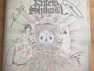 Enter Shikari - Take To The Skies  2x12” Purple  Vinyl Signed Autograph