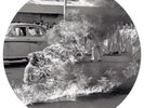 Rage Against the Machine [Picture Disc] [PA] by Rage Against the Machine Vinyl