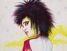 Siouxsie Sioux Portrait In Inks, Banshees, Sex Pistols, Punk, Signed By Artist