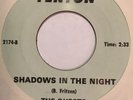 Garage 45 THE QUESTS Shadows In The Night FENTON What Can I Do HEAR