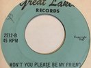Garage 45 NEW ERA We Ain't Got Time GREAT LAKES Won't You Pls Be My Friend HEAR