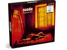 Suede Dog Man Star 20th Edition Anniversary