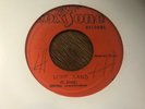 Sound dimensions-money maker/love land in NM writing on label