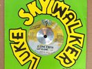RAP 45 - 2 LIVE CREW - GET IT GIRL /CUT IT UP w/ SLEEVE VG++ HEAR