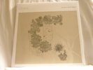 ALVA NOTO & RYUICHI SAKAMOTO Glass CLEAR vinyl German import NEW LP