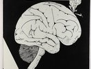 Expanding Circle - Conscious LP - Private Psych Folk VG++