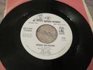 WILD MAN FISCHER The Circle/Merry Go Round 7” Promo - NM to MINT Frank Zappa
