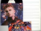 Erasure - Wild (1989) Vinyl LP • IMPORT • Drama, Blue Savannah, Star