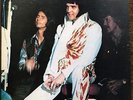 ELVIS PRESLEY LIVE EXPERIENCE VINYL LP IMPORT USA 1979