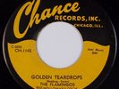 THE FLAMINGOS:  Golden Teardrops / Carried Away CHANCE Rare Doo Wop Repro 45 NM