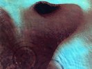 Pink Floyd / Meddle / Vinyl / Progressive / Kraut / Harvest / France
