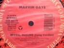 Marvin Gaye / Rodney Franklin Sexual Healing / The Groove Vinyl Single 12inch