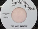 GARAGE PSYCH BLUE ICE GOLDEN VOICE 45-522 PEOPLE GET READY TOO MANY ANSWERS M-