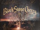 SIGNED MINT Black Stone Cherry - Family Tree LP Vinyl