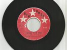 DAVID McINTOSH AND HIS BROS. / TRYING TO BE NICE / IRON ROCK / 7''/ VG/ VG-