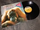 THE LATIN BROTHERS BAILANDO CON LA CHANGA  EL HIJO DEL GUAGUANCO. SALSA LP VG+