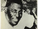 Howlin' Wolf - Change My Way LP - Chess Vintage Series VG+