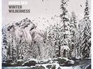 AUGUST BURNS RED - WINTER WILDERNESS EP LP Vinyl New Preorder