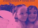 Smashing pumpkins - Siamese Dream - 2 X Vinyl - LP