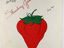 Larry Myer - Strawberry Jam LP - Mark - Unknown Loner Psych Synth Breaks MP3
