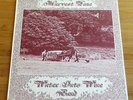 WATER INTO WINE BAND HARVEST TIME rare 1.Press UK ORIGINAL 1976 with INSERTS