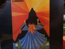 Mountain Climbing Vinyl Lp 2013
