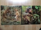 LP JOHN MAYALL - BLUES FROM LAUREL CANYON im Klappcover London Records USA