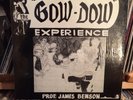 The Gow-Dow Experience *RARE* Spiritual Jazz Funk in TOP condition