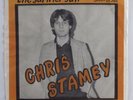 Power Pop 45 CHRIS STAMEY The Summer Sun ORK picture sleeve HEAR