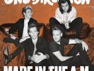 ONE DIRECTION MADE IN THE A.M. LP VINYL NEW