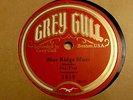 Early Jazz 78 RPM Record - Jazzopators - Blue Ridge Blues - Grey Gull