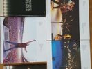 Bruce springsteen Vinyl 5LP BOX SET LIVE 1975-1985 RECORDINGS