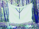 WHITE RING - BLACK EARTH THAT MADE ME (COLORED VINYL)  VINYL SINGLE NEW+