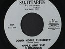 APPLE & THE 3 ORANGES: Down Home Publicity / True Love Will Never Die 45 (great