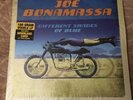 JOE BONAMASSA DIFFERENT SHADES OF BLUE LP NEW SEALED 180 GRAM 2 LP DOWNLOAD CARD