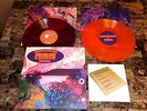 Chris Robinson Brotherhood Signed Record 45 Phosphorescent Harvest Black Crowes