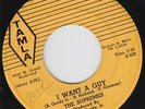 THE SUPREMES - I WANT A GUY / NEVER AGAIN (TAMLA 54038) CLASSIC