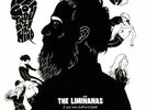 LIMINANAS, The - I've Got Trouble In Mind Volume 2: 7' & Rare Stuff 2015/2018