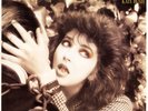 KATE BUSH The Dreaming VINYL LP NEW & SEALED 2018 REMASTER