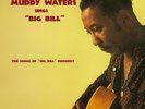 Muddy Waters Sings Big Bill Broonzy - SEALED NEW import 180g LP